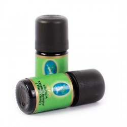 Ylang Ylang Yağı 5 ml Organik Komple (Kananga)